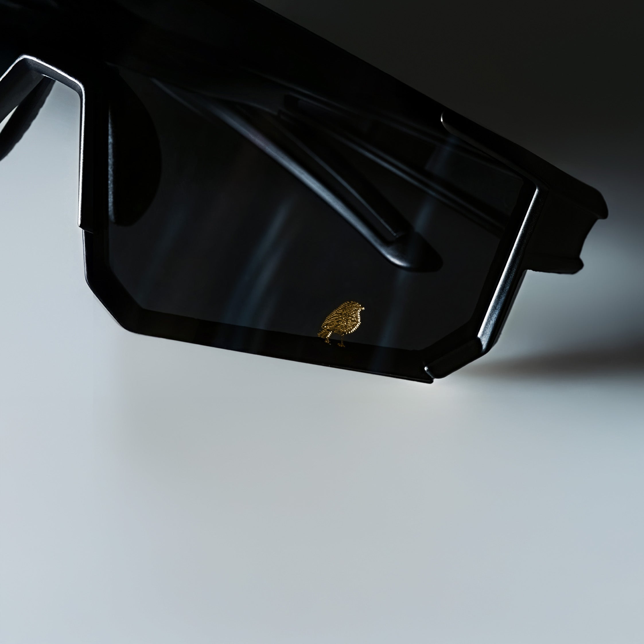 The Nightrunner Shades