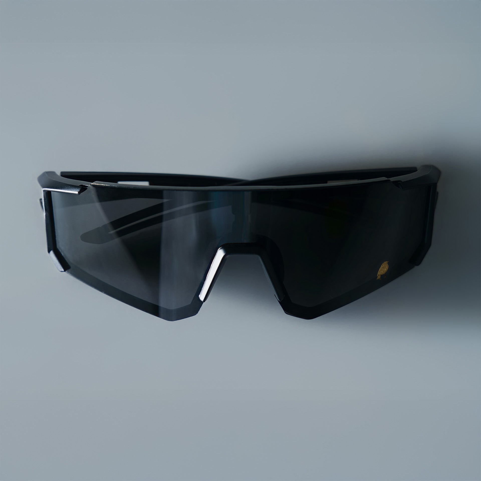 The Nightrunner Shades