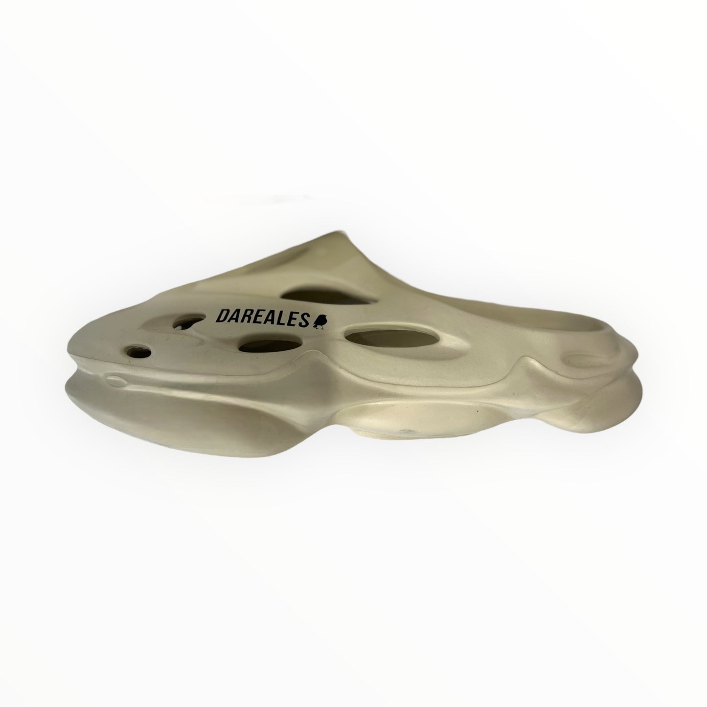 bone slides